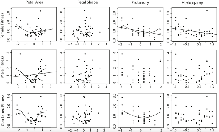 screen-shot-2017-02-28-at-3-23-08-pm