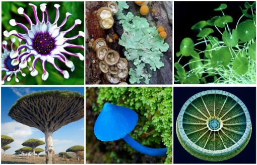 screenshot-2017-02-15-at-5-09-20-pm