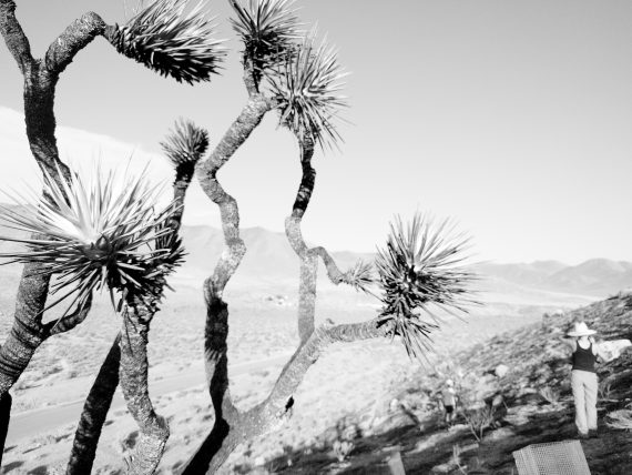 ProShot_20160630_185542