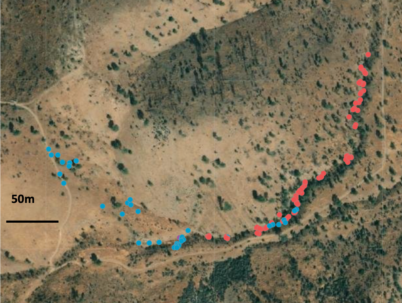 Screen Shot 2023-03-09 at 2.29.27 AM